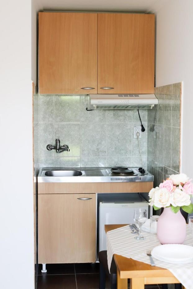 Charming Studio Masa Palić Buitenkant foto